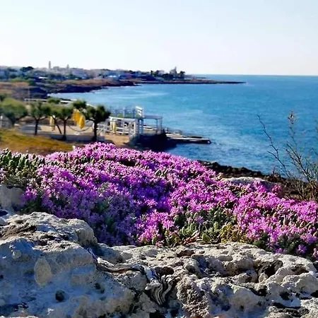 Holiday home Torre San Giovanni